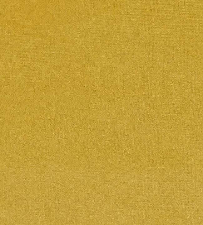 Colour and Fabric